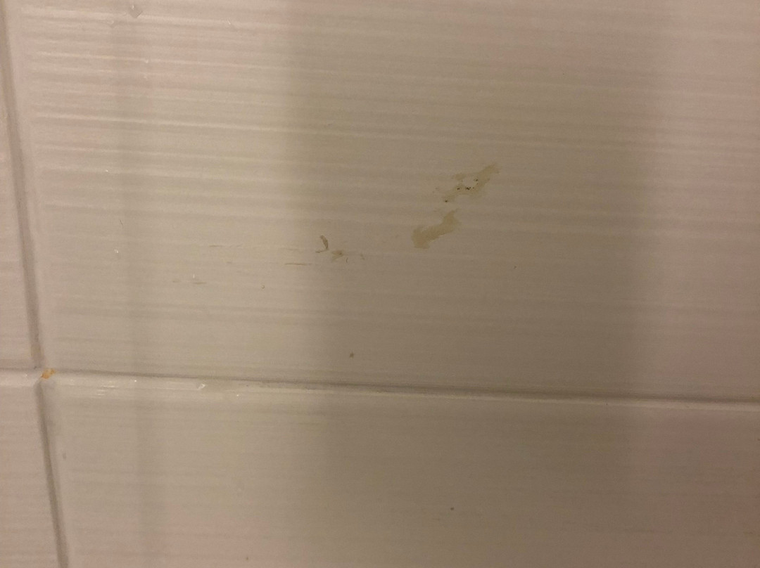 Residence Inn by Marriott Winston-Salem Hanes Mall主图