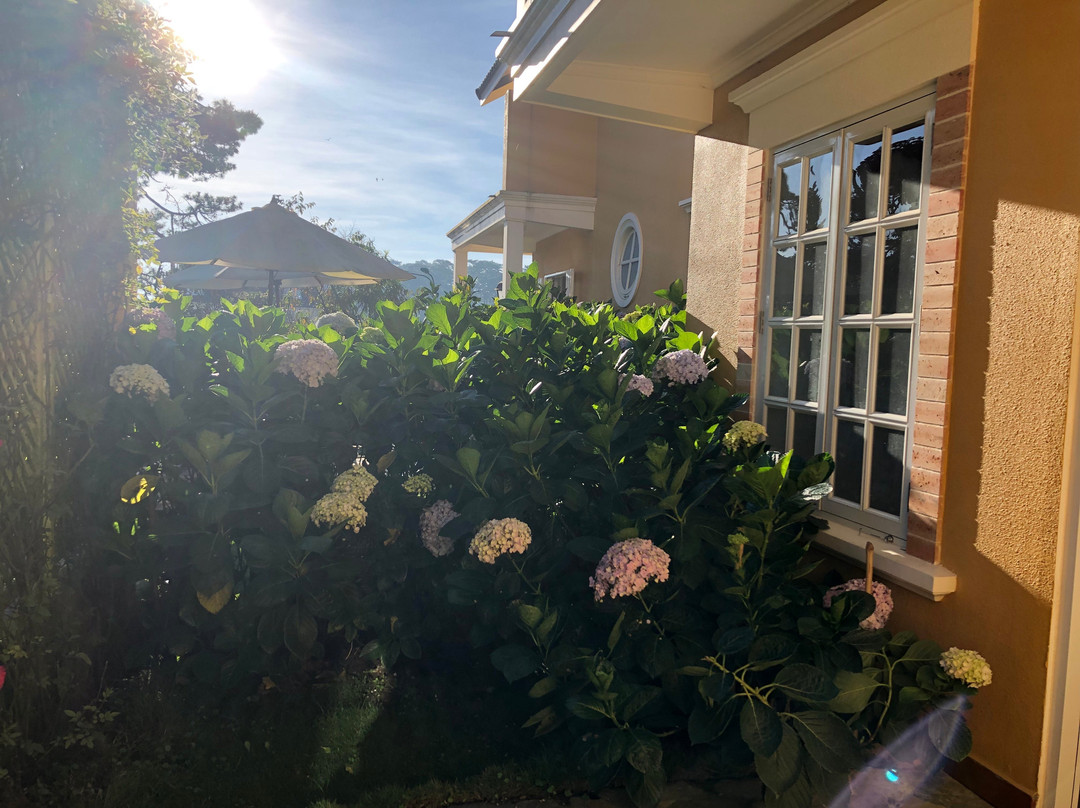 碧道大叻别墅旅馆主图