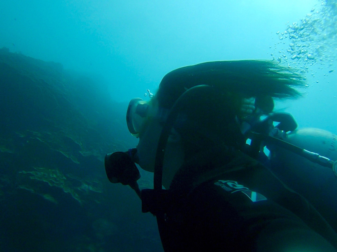 Guam Ocean Academy-Piti必去景点