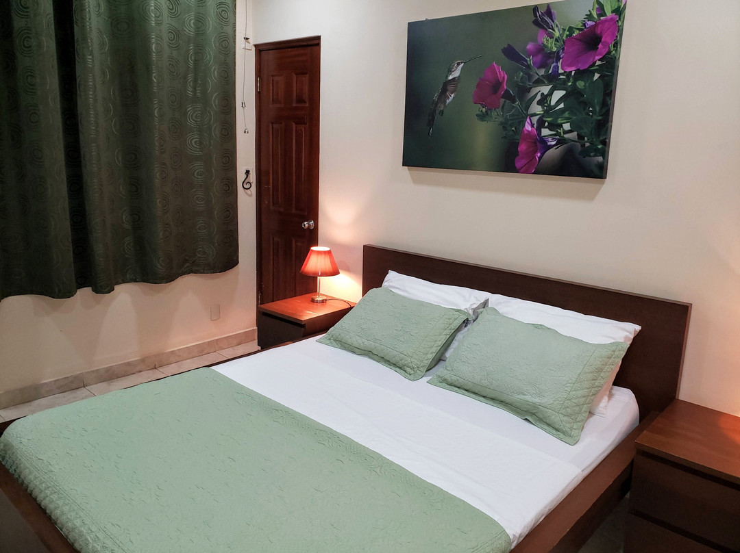 The Balboa Inn主图