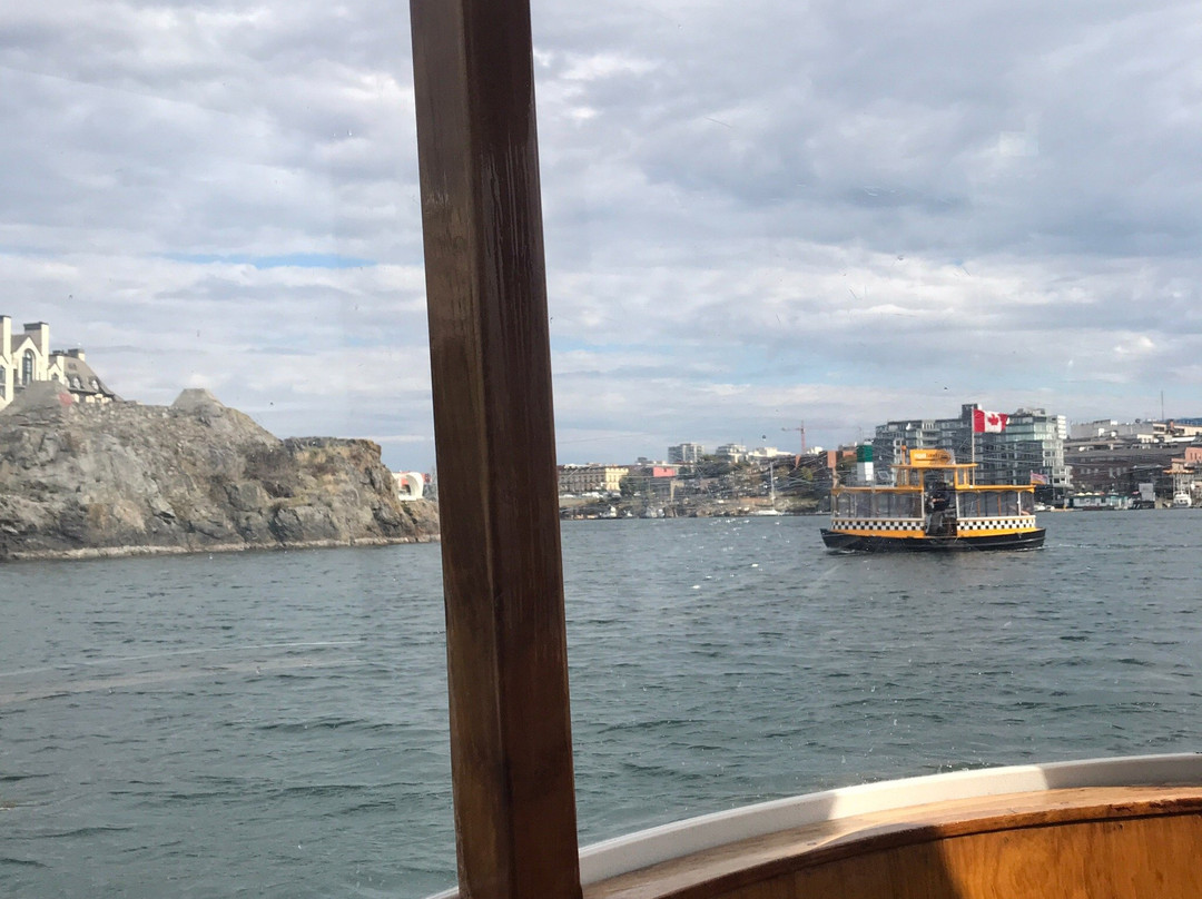 Victoria Harbour Ferry景点图片