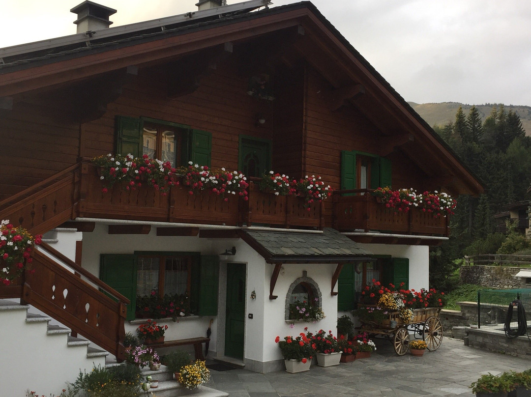 Hotel Chalet Capriolo主图