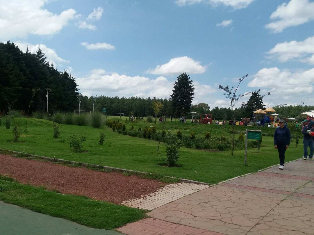 Parque Ambiental Bicentenario景点图片