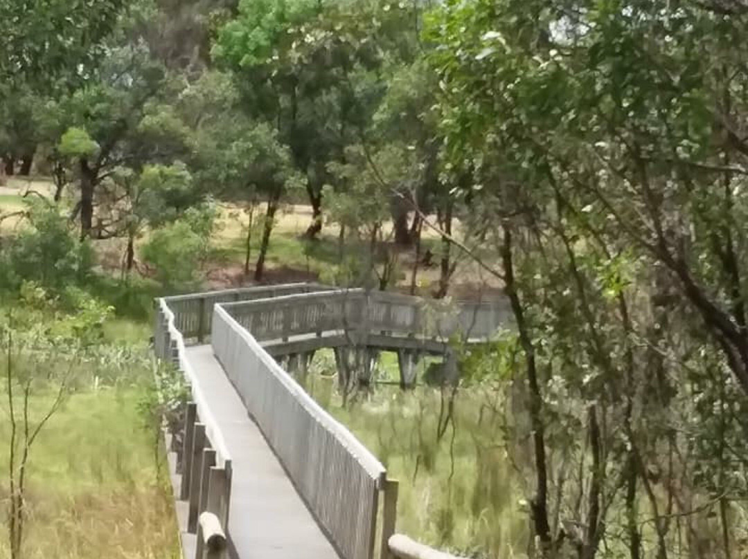 Lake McIntyre-Millicent必去景点
