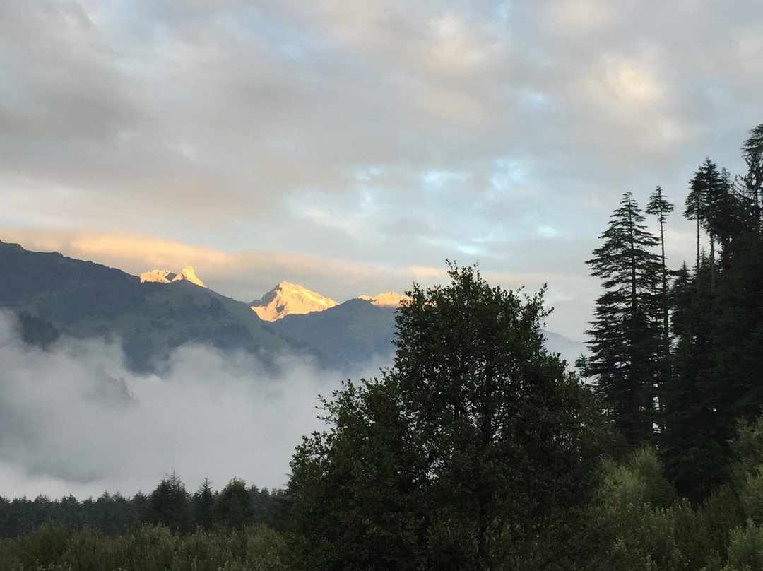 The Lama House主图