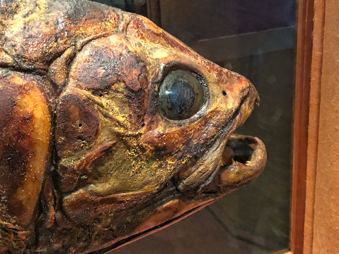 East London Museum-东伦敦必去景点