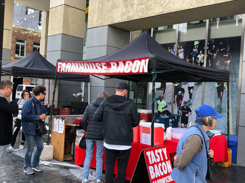 Aucky Walky Tours-奥克兰中心地区必去景点