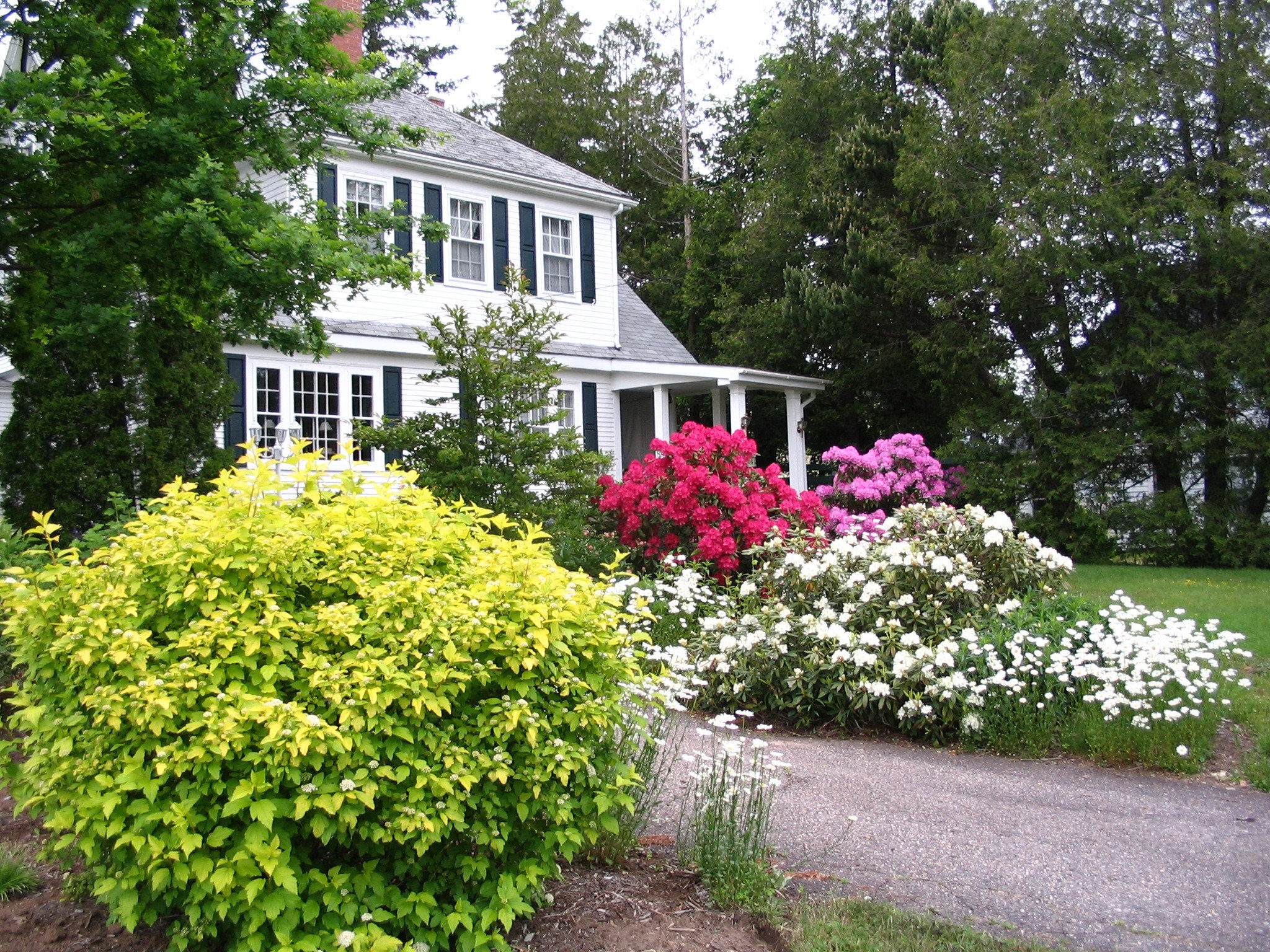 Harrington House B&B-官方