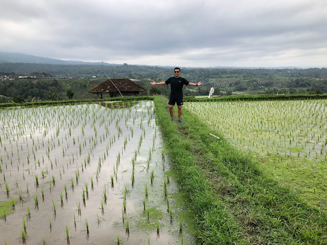 Bali Private Day Tours景点图片