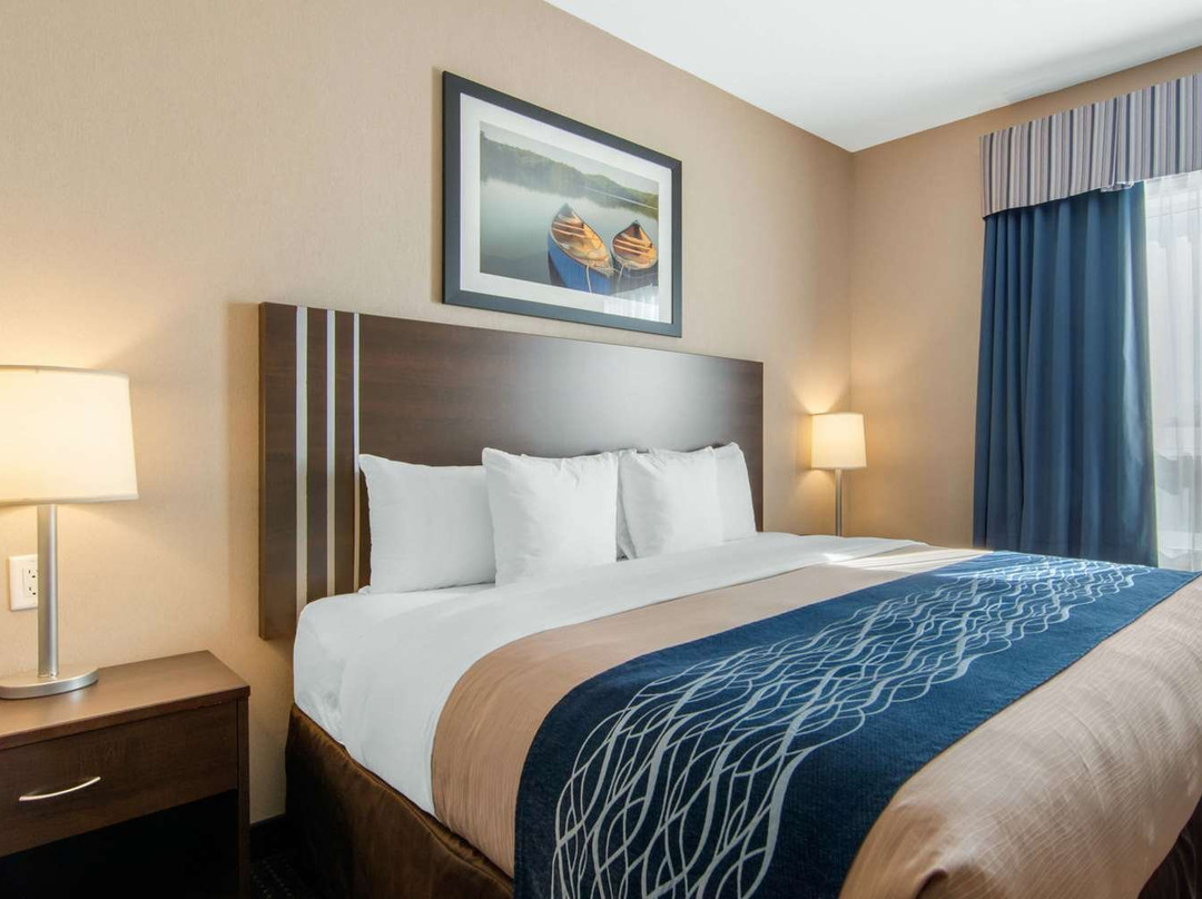 Comfort Inn & Suites主图