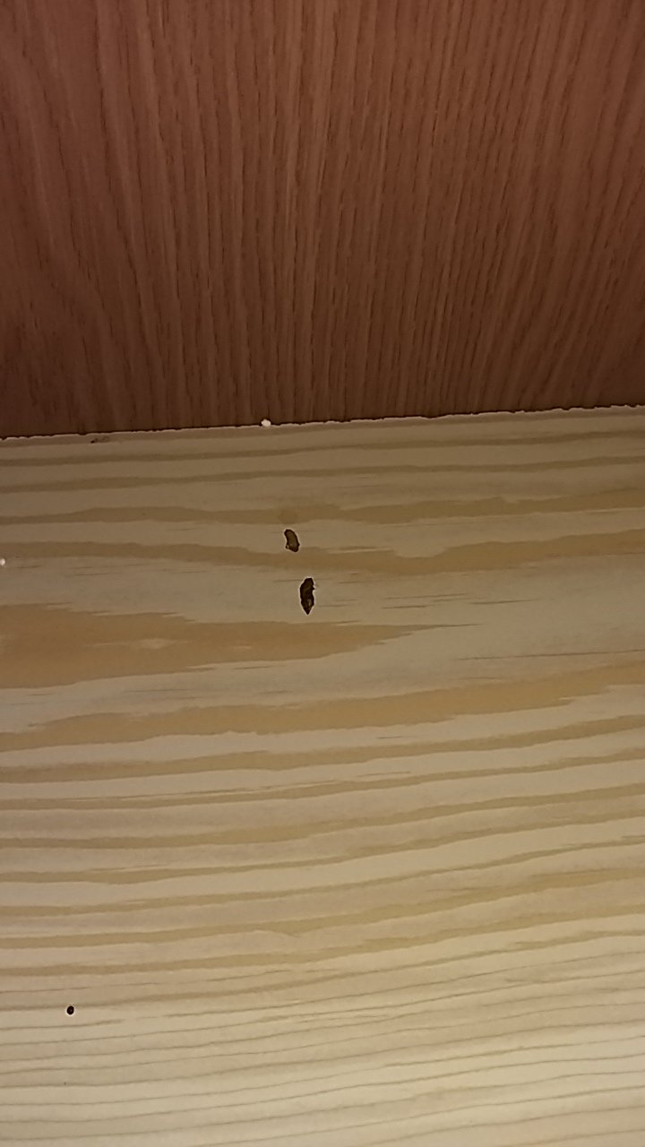 罗斯马利酒店-官方