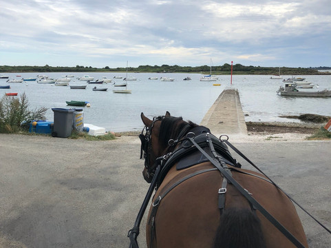 La Caleche de Sene - Balade a cheval-Sene必去景点