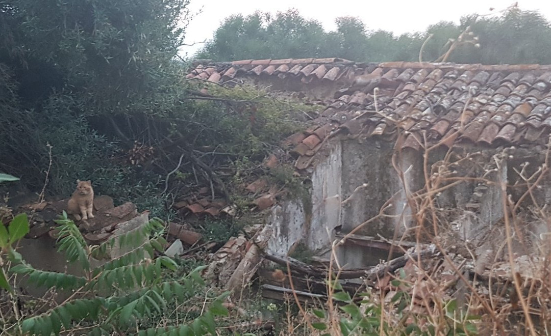 Abbazia di Thélema-切法卢必去景点