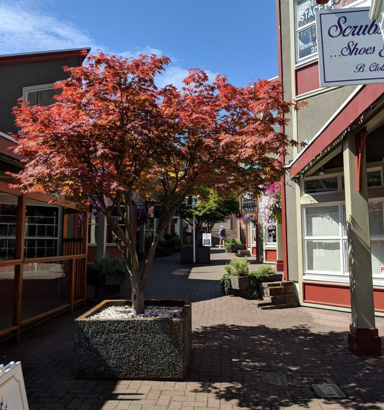 Old City Quarter-纳奈莫必去景点