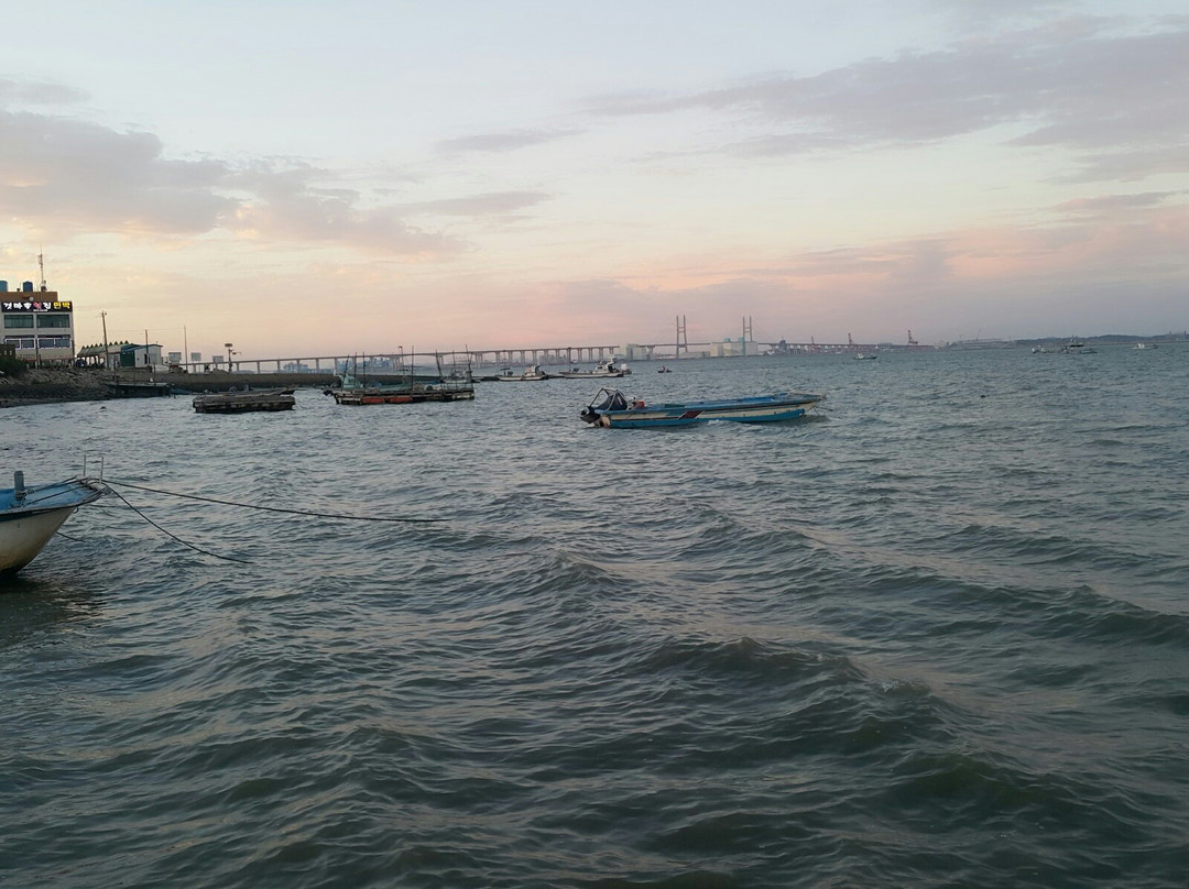 Dangjin Port Tourism Organization景点图片