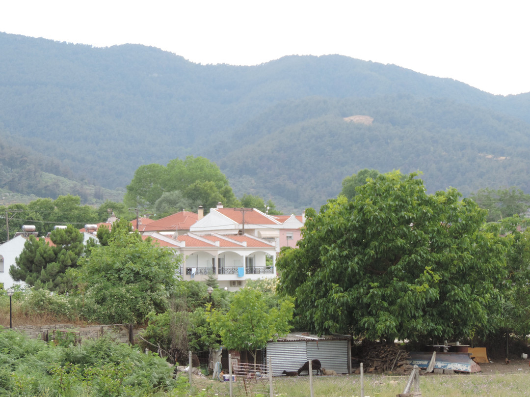 Galaxy City Hotel主图