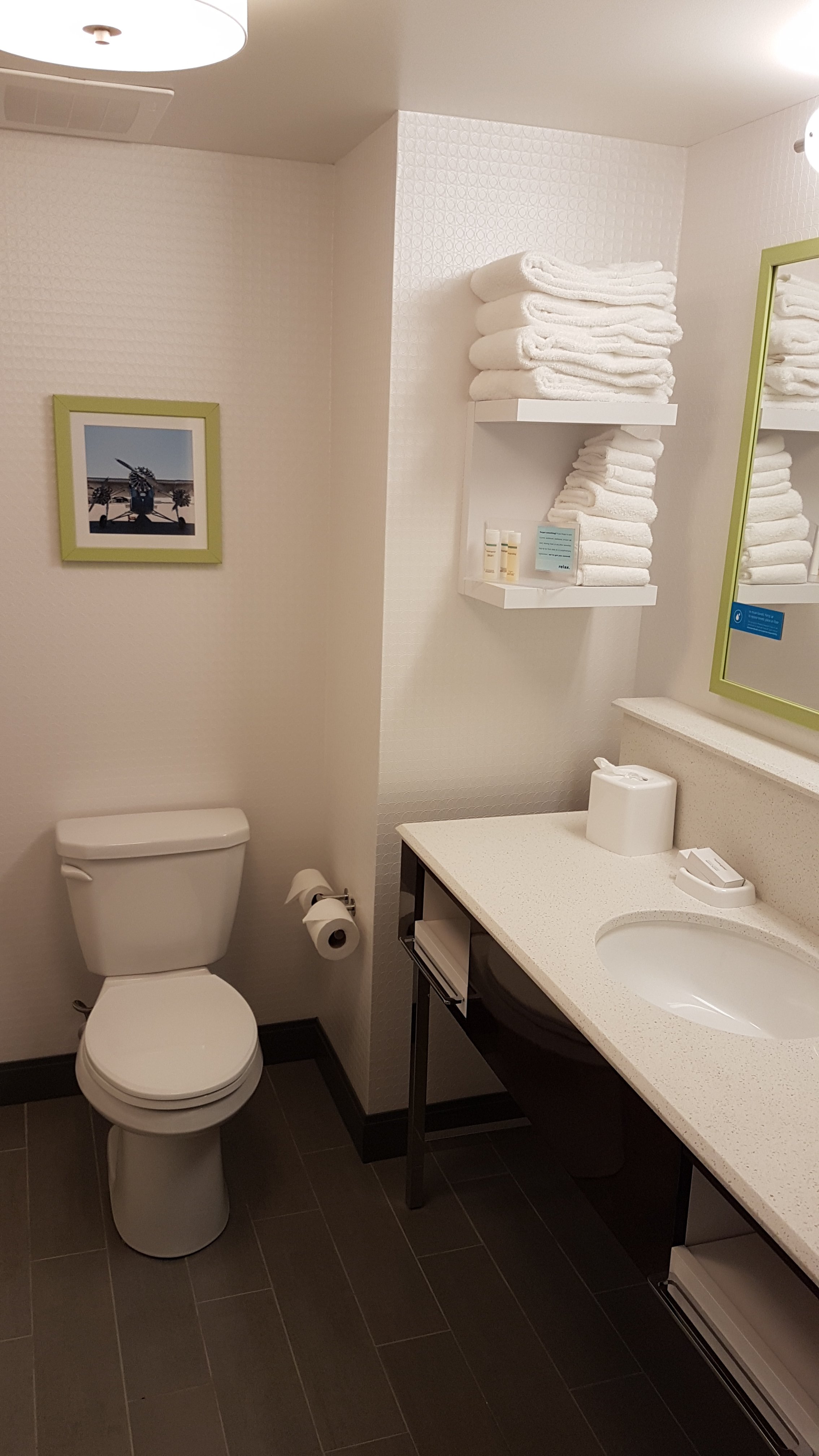 Hampton Inn & Suites By Hilton Burlington-浴室