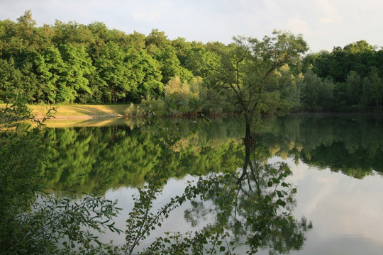 Espace Miscanthus-Berrwiller必去景点