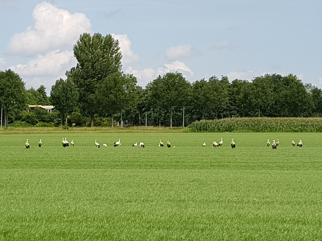 Vakantiepark Zonnetij