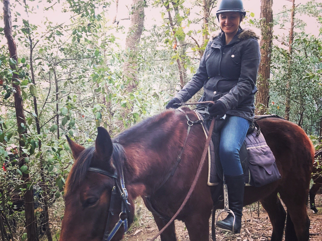 Man from Kangaroo Valley Trail Ride-袋鼠谷必去景点