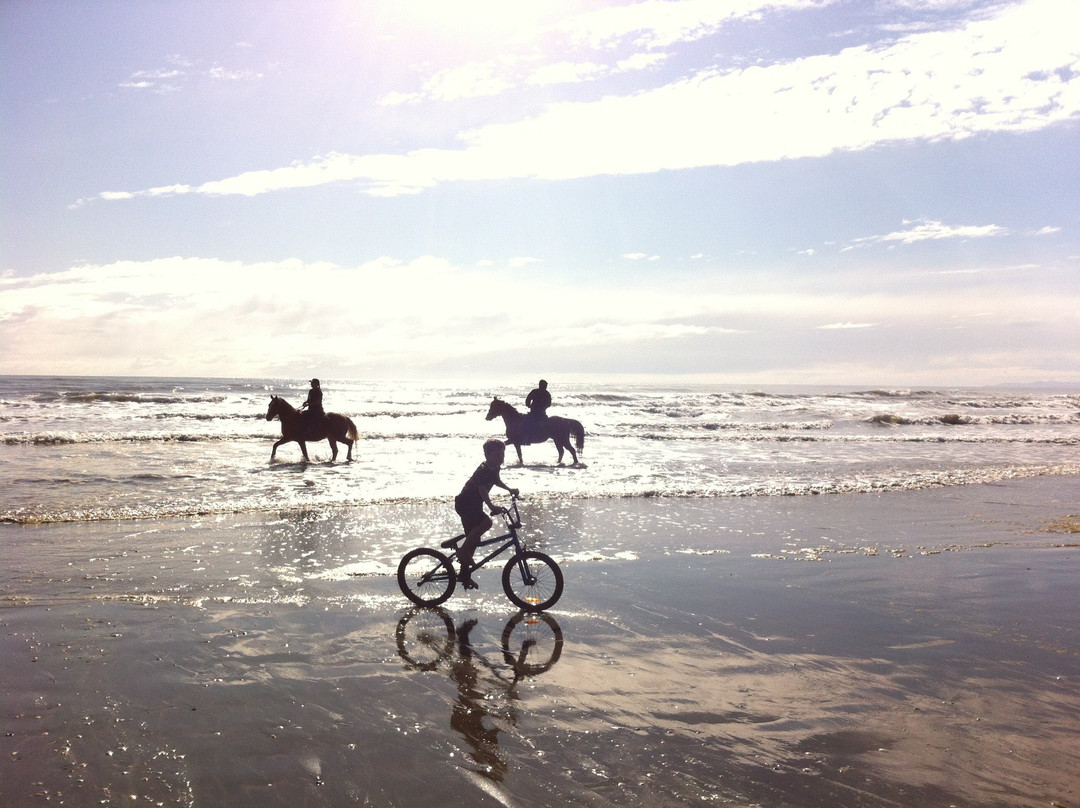 Waiotahe Beach景点图片