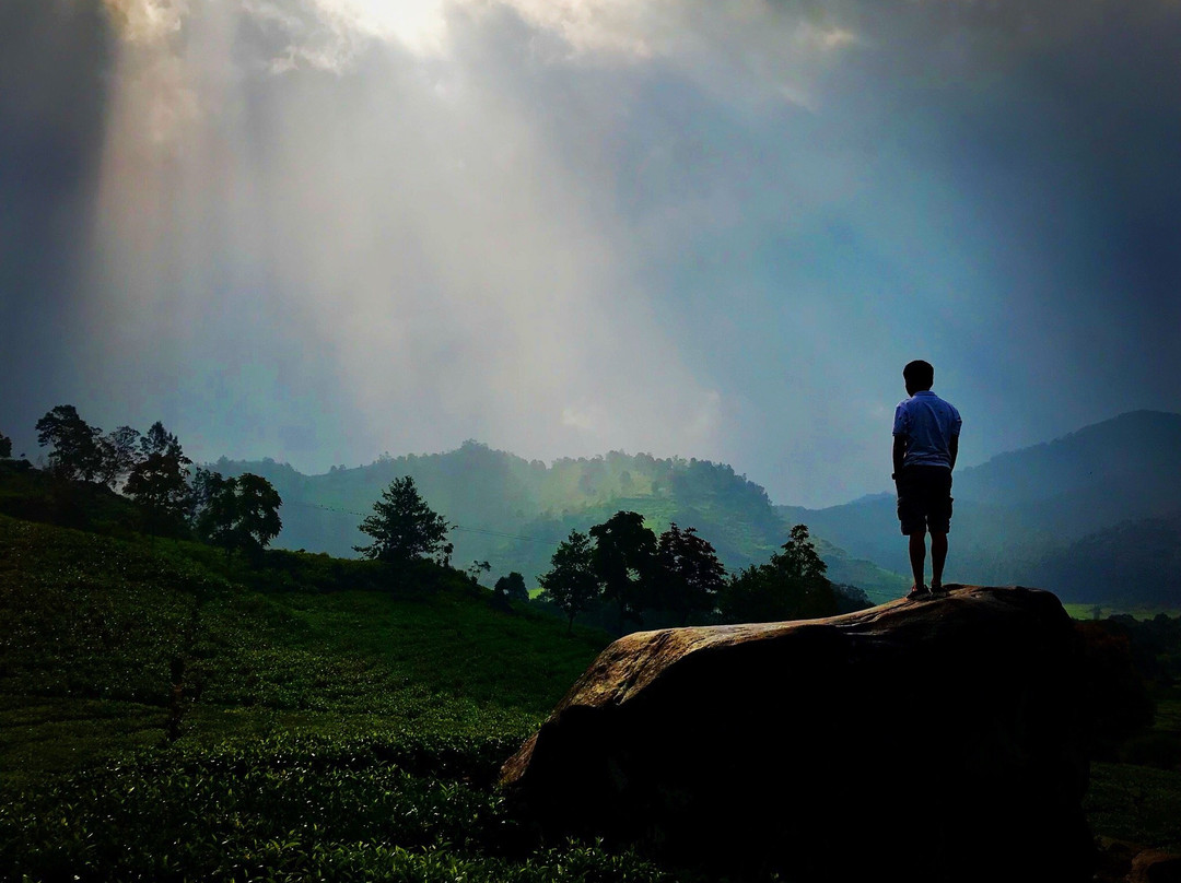 Tea Country, PTPN 8-万隆必去景点