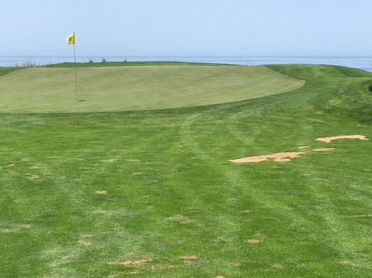 Sandpiper Golf Course-戈利塔必去景点