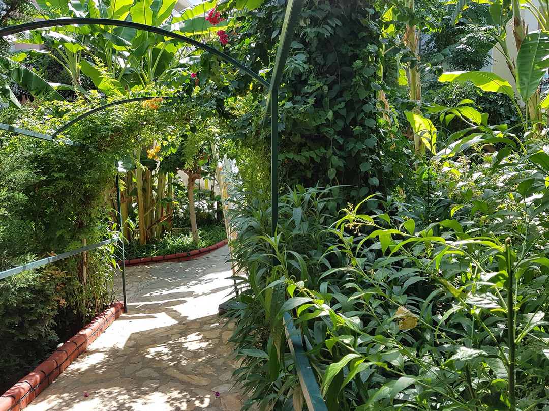 Adin Resort Hotel主图