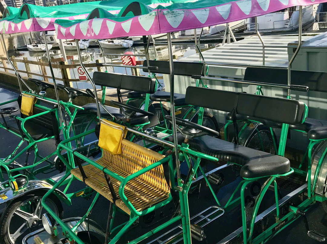 The Enormous Crocodile Company-惠灵顿必去景点