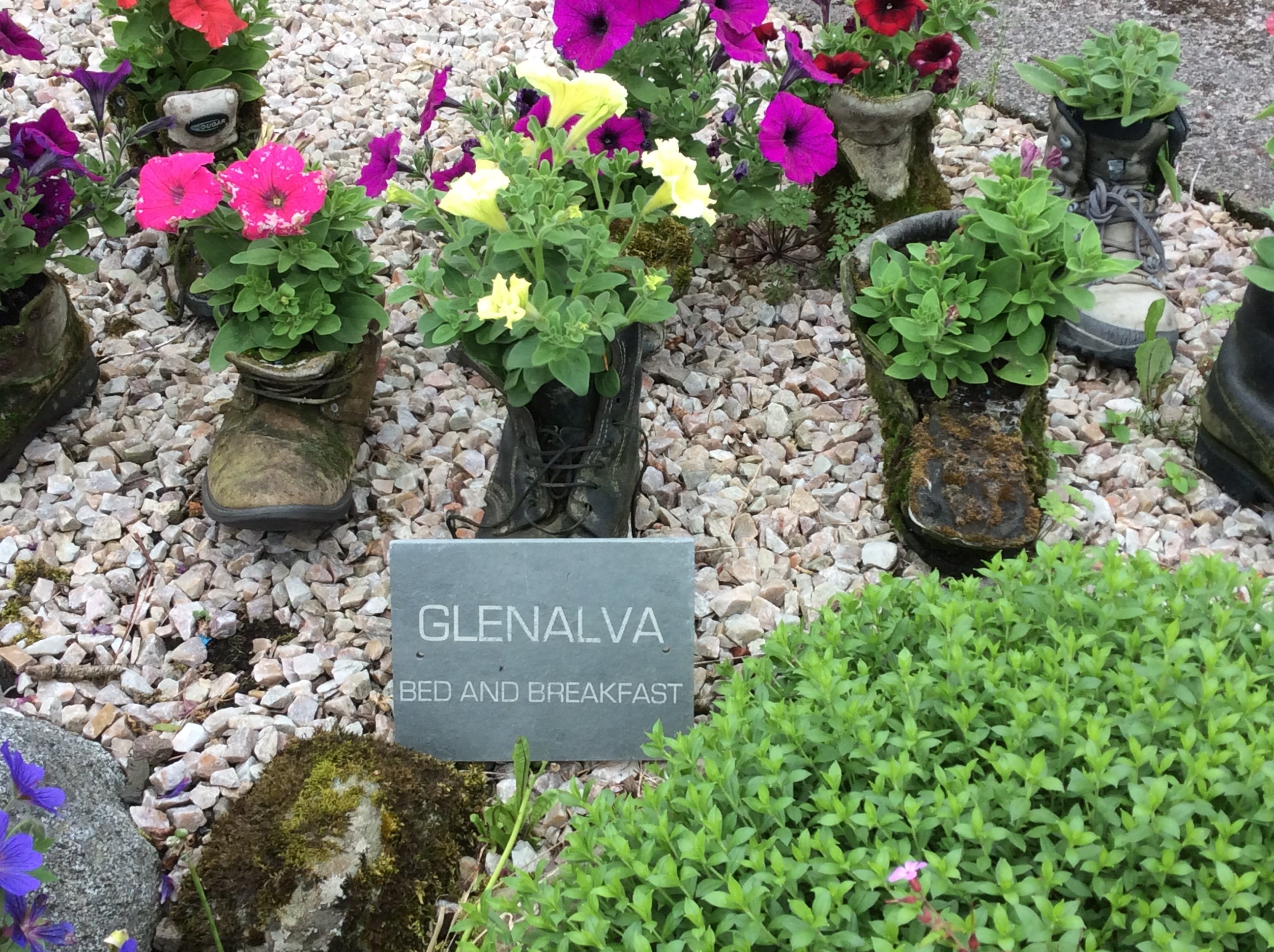 Glenalva-官方