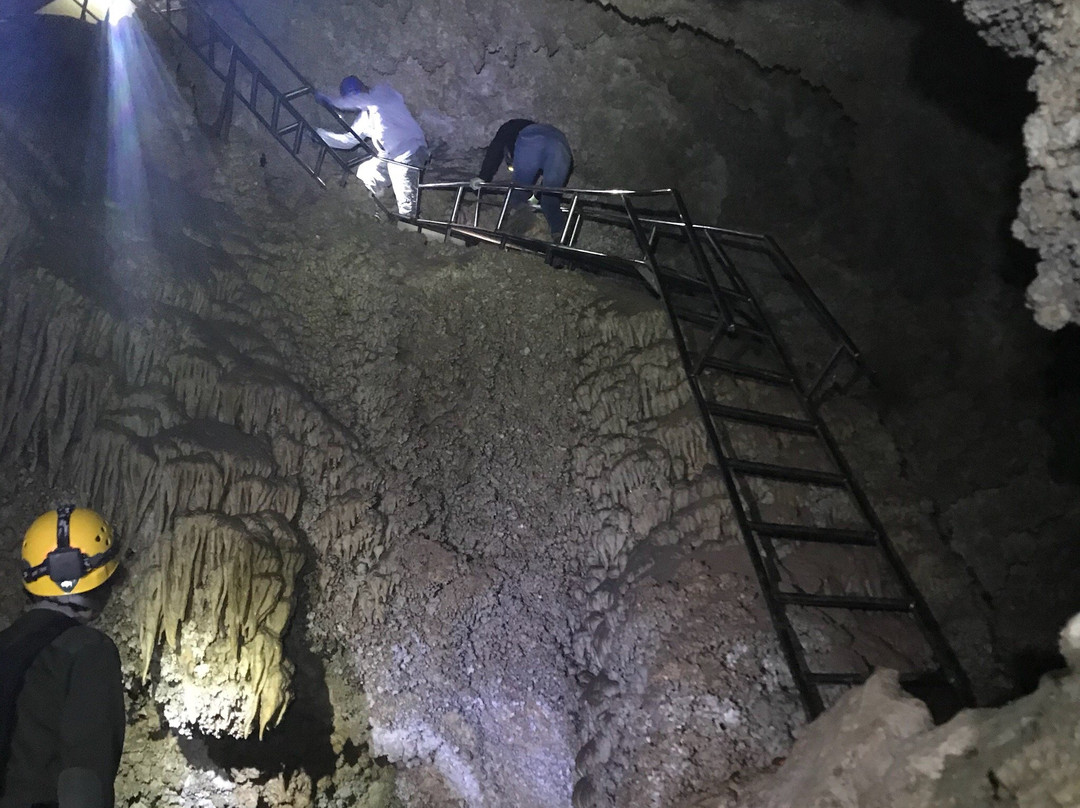 Lower Cave Tour-卡尔斯巴德洞穴国家公园必去景点