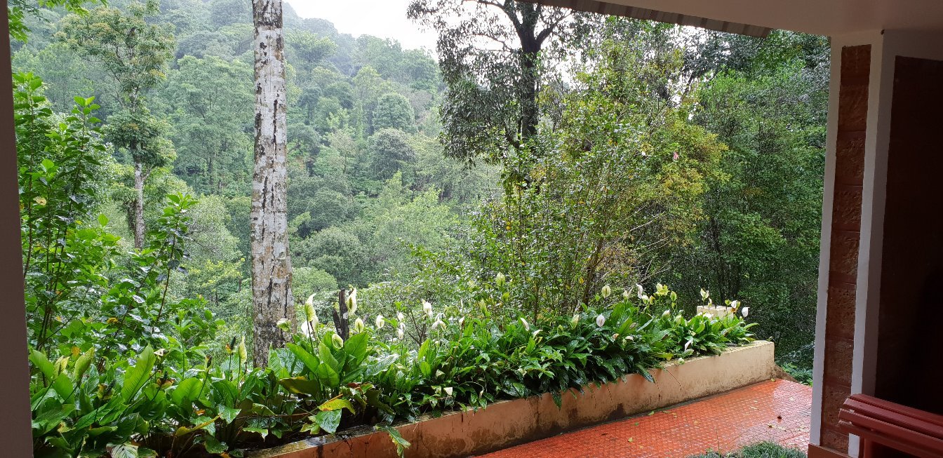 Misty Woods Resort-酒店景观