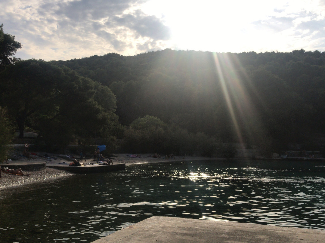 Apartments Pavic