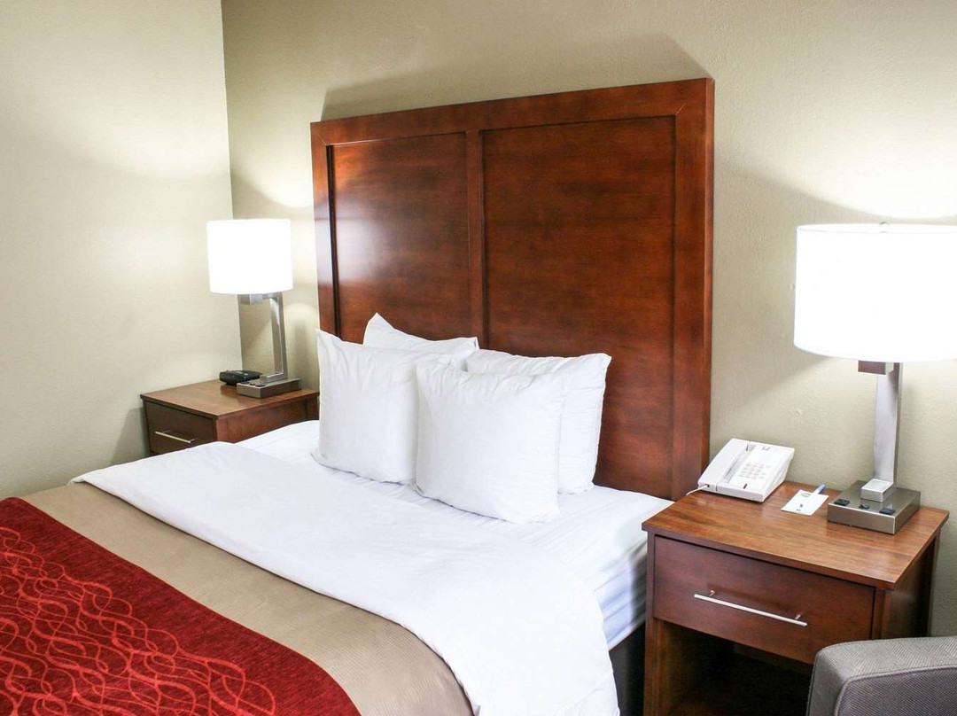 Comfort Inn Central University South主图