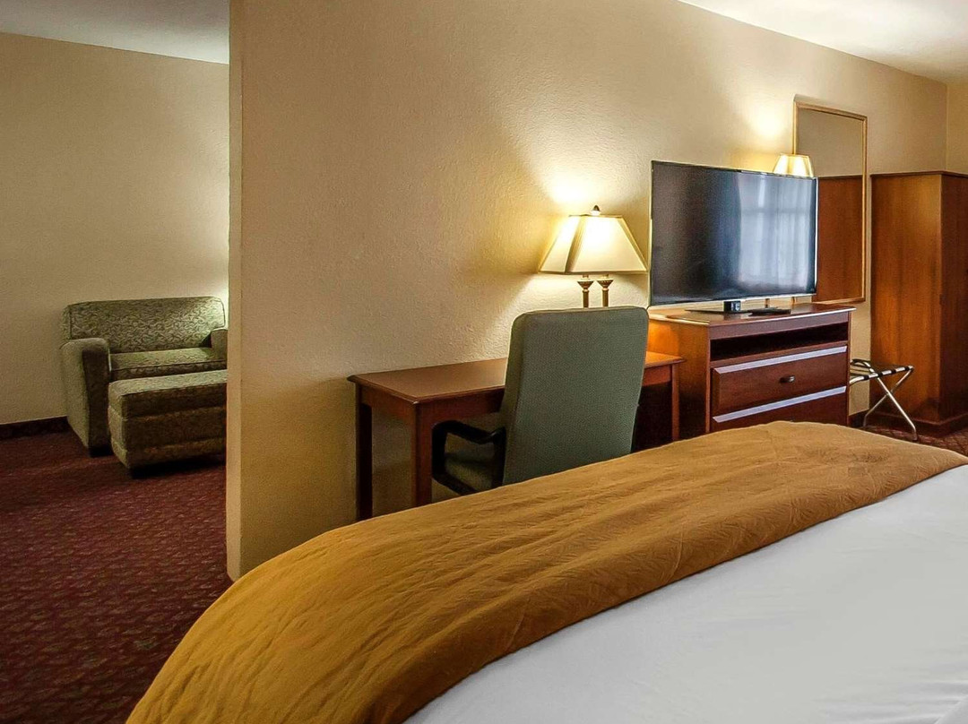 Quality Inn & Suites主图