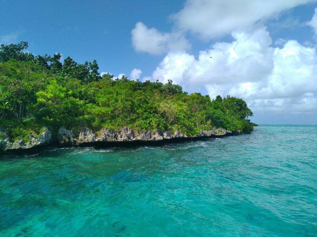 Ile aux Aigrettes Nature Reserve景点图片