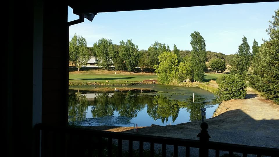 Greenhorn Creek Vacation Cottages