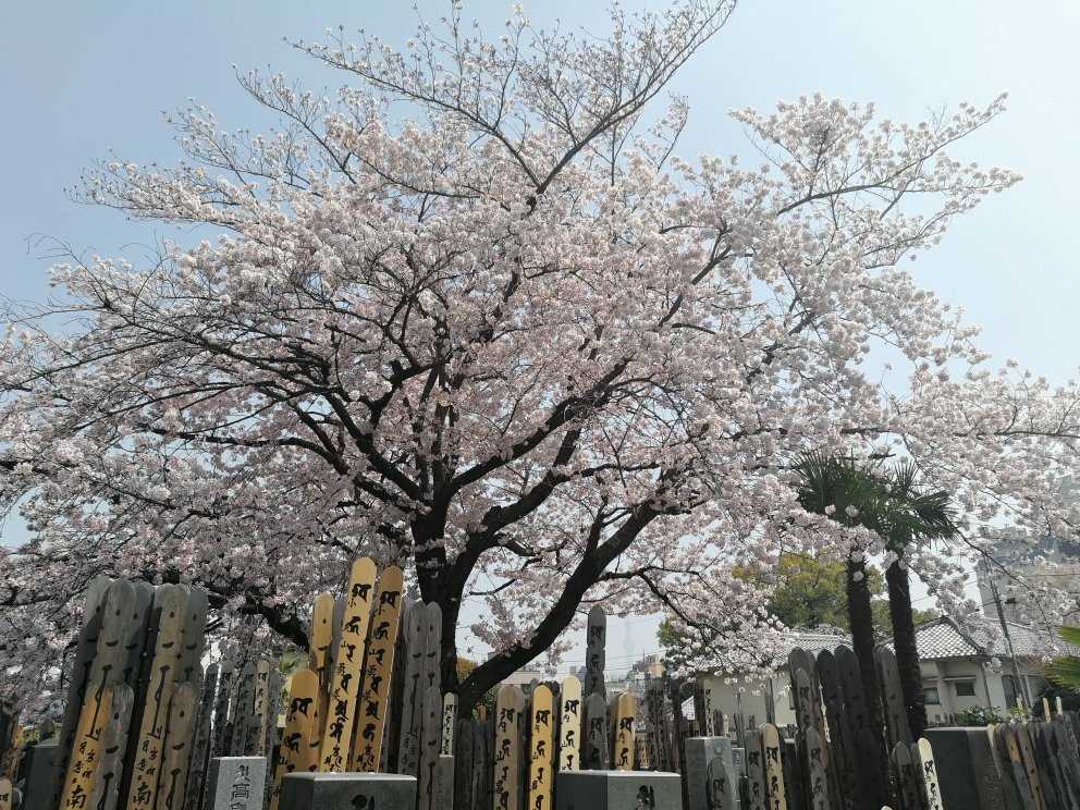 Parco-ya Ueno-Ueno必去景点