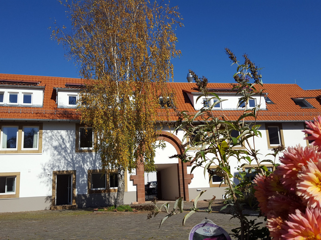 Gastehaus Burghof Stauf主图