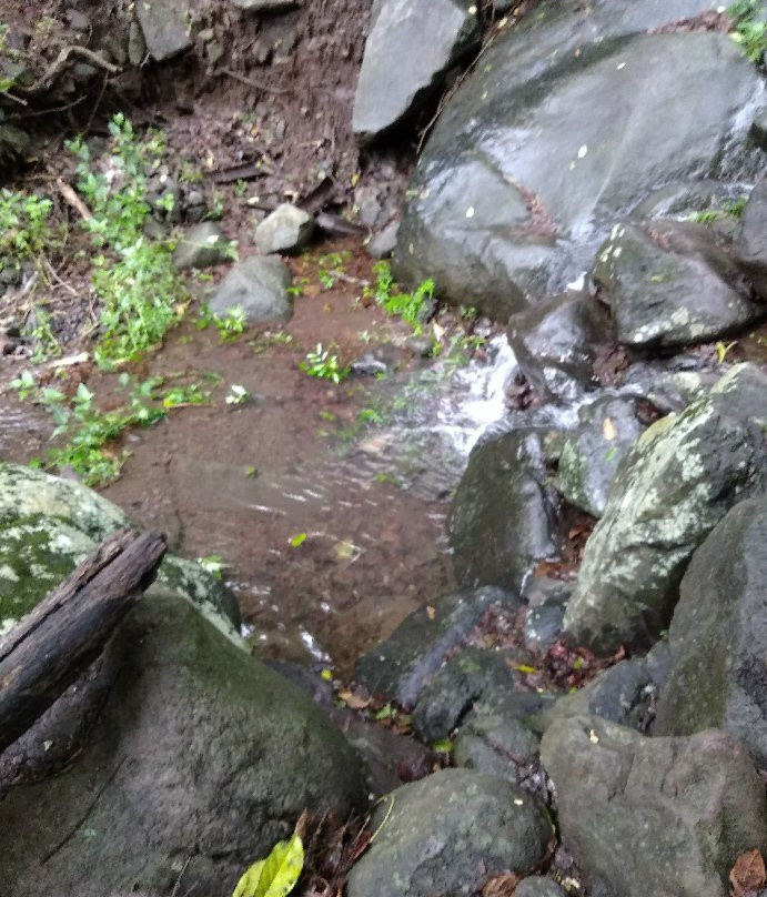 Mount Arayat National Park景点图片