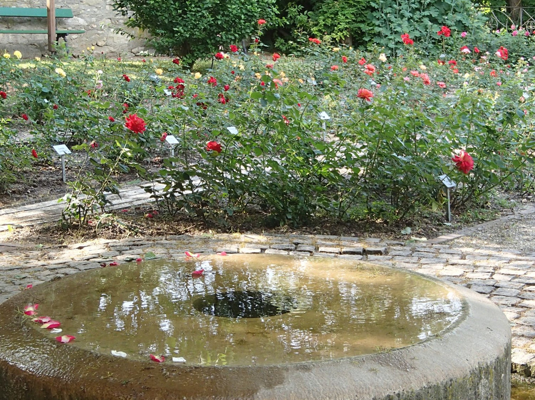 Herzogspark-雷根斯堡必去景点