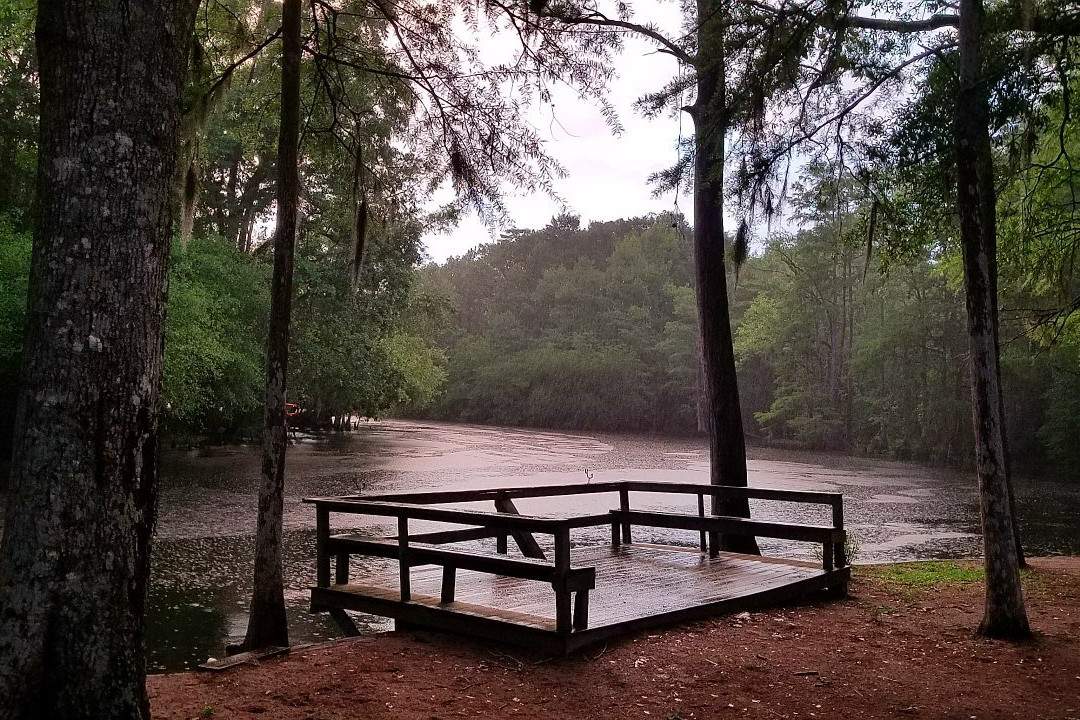 Lumber River State Park景点图片