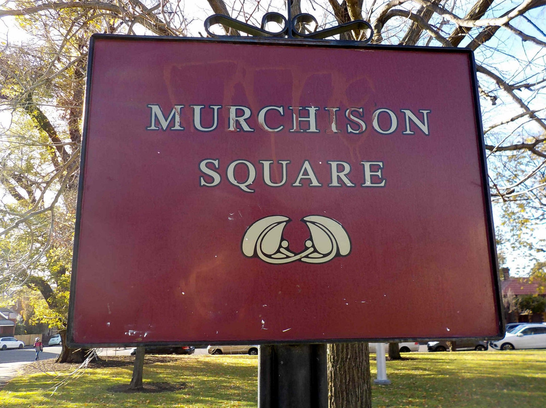 Murchison Square景点图片
