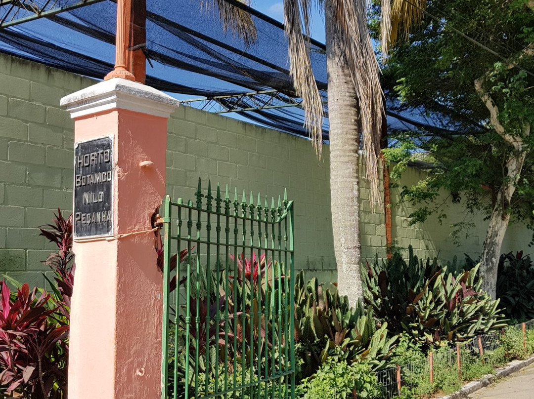 Niteroi Botanical Garden-尼泰罗伊必去景点