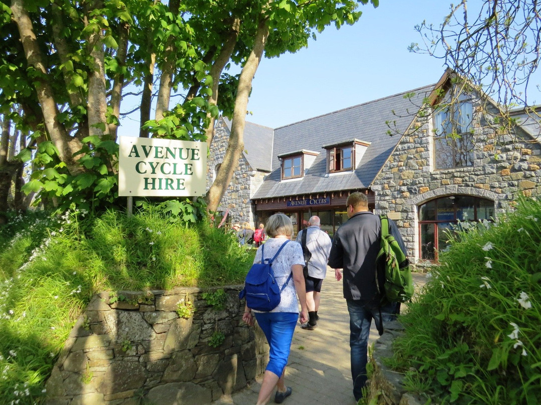 Avenue Cycles Sark-Sark必去景点