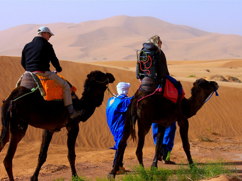 Morocco Accessible Travel Consultants-非斯必去景点
