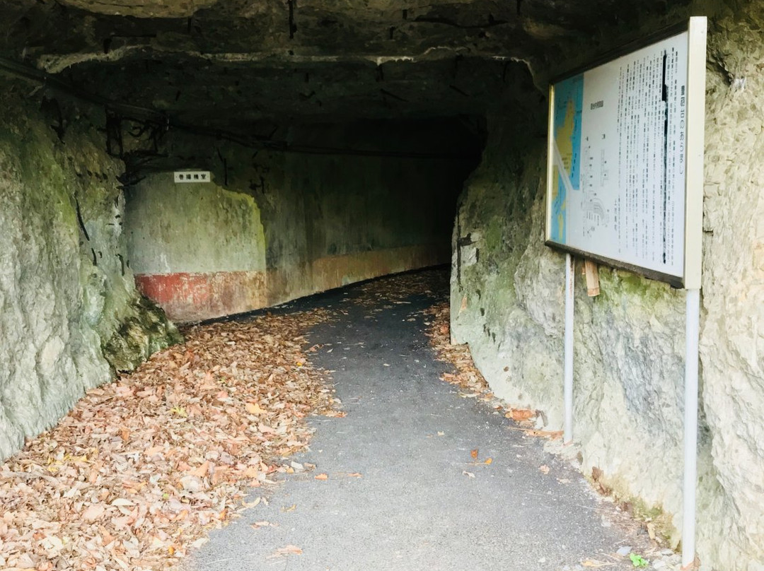 Toyo Battery Trace-对马市必去景点