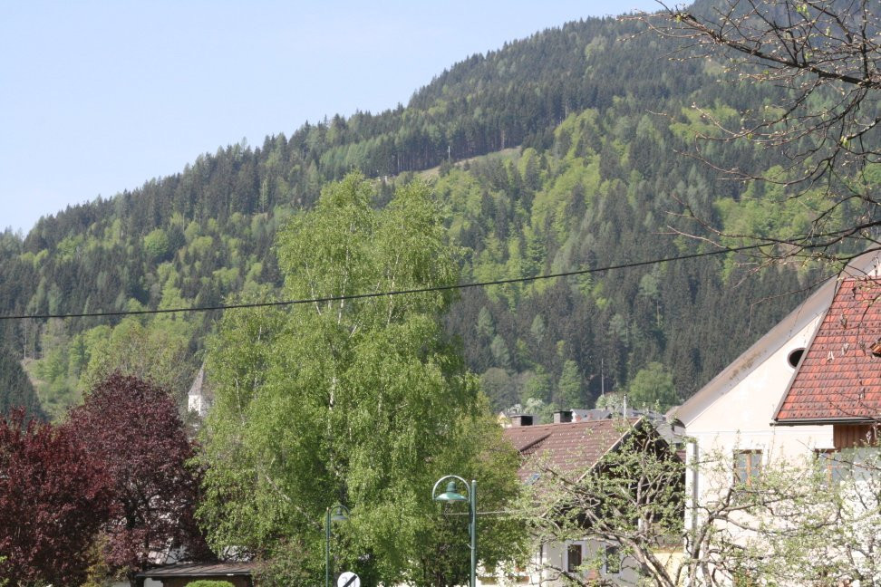 Pension & Apartments Weissbriach