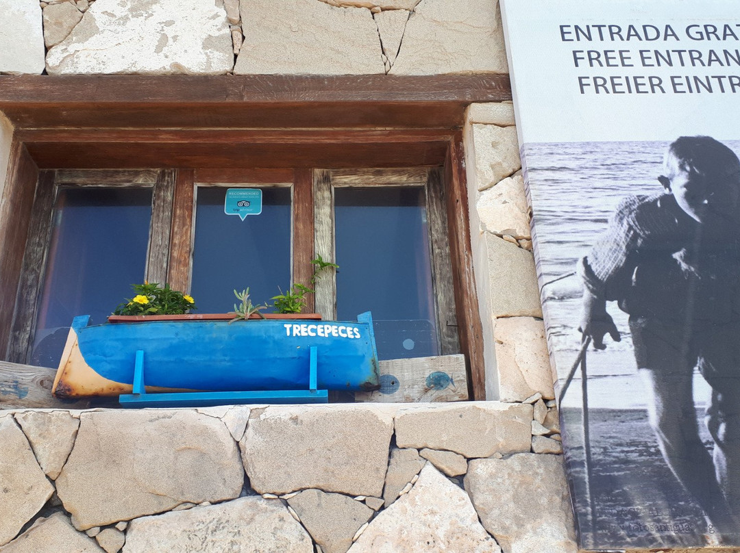 Trecepeces Fuerteventura-富特文图拉必去景点