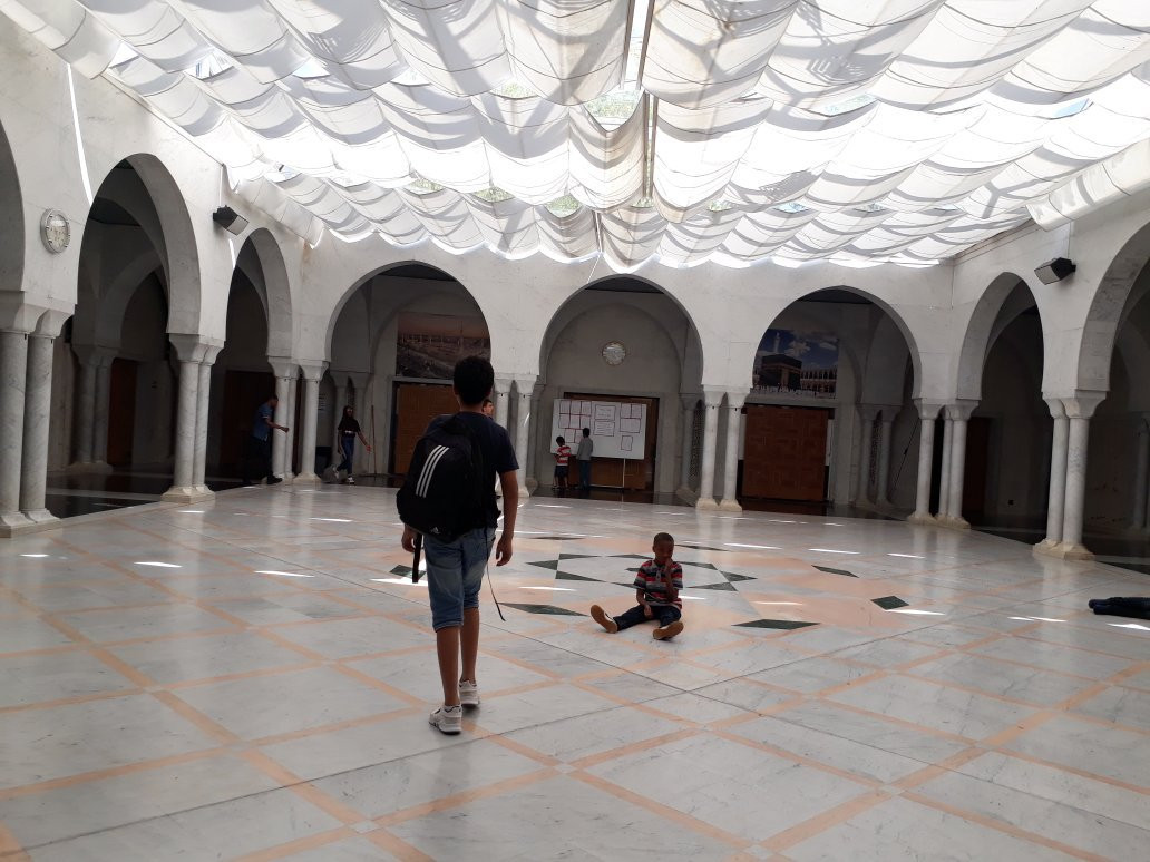 Mosque of Genève-日内瓦必去景点